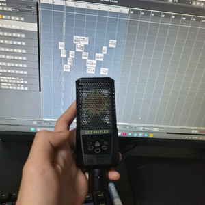 콘덴서 마이크 르윗 LCT441