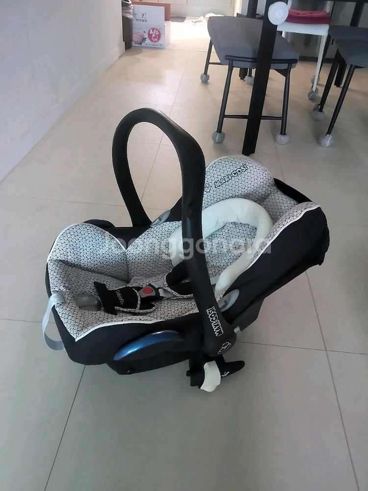 멕시코시 카브리오픽 바구니 카시트--2