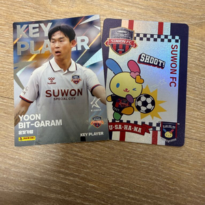 2025 k리그 파니니 카드 수원fc 윤빛가람 산리오