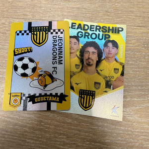 2025 k리그 파니니카드 전남드래곤즈 산리오 리더십