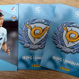 2025 k리그 파니니 카드 대구fc 정치인 구단