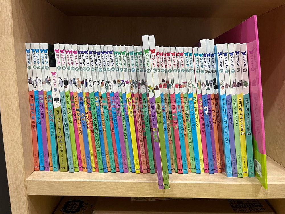 아람자연이랑 80권 세트 거의새책급--1