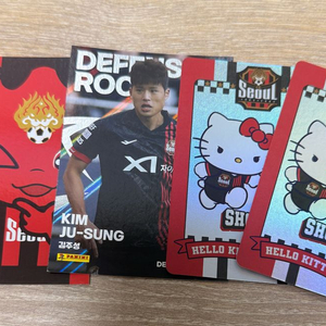 2025 k리그 파니니카드 fc서울 김주성 리더십 씨드