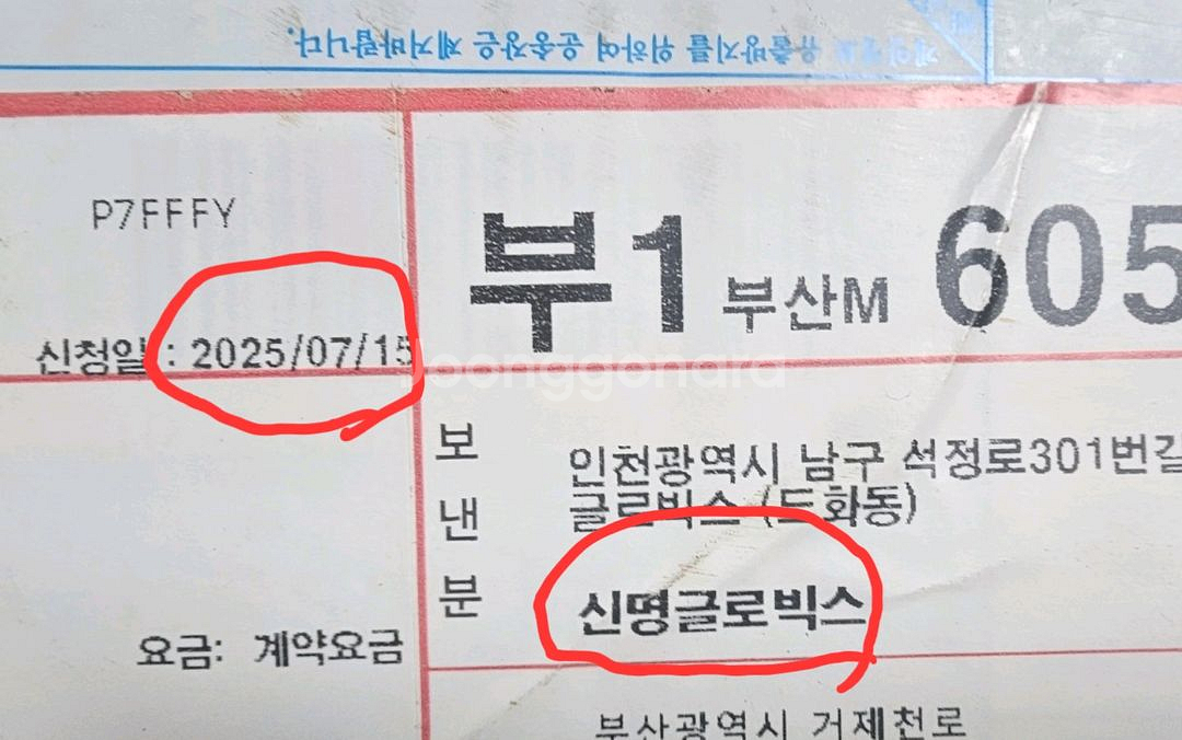 지포라이터 29719콘스탄틴 인서트 골드--9