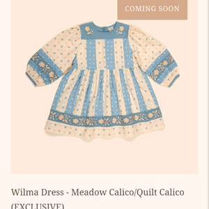 아폴리나 익스 윌마3-5