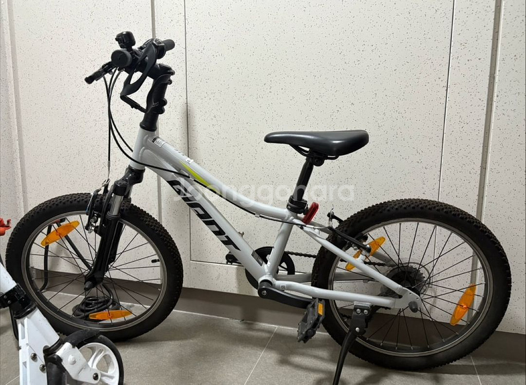 어린이 자이언트 20인치--0