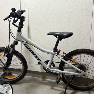 어린이 자이언트 20인치