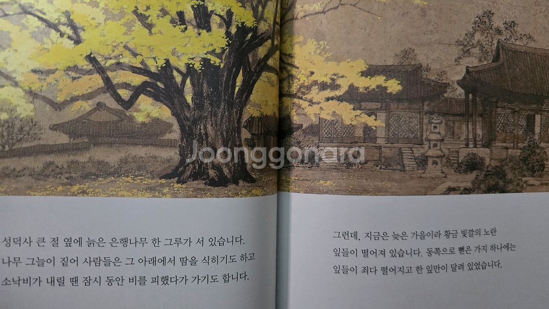 웅진주니어 빛나는 어린이 문학 16권--5