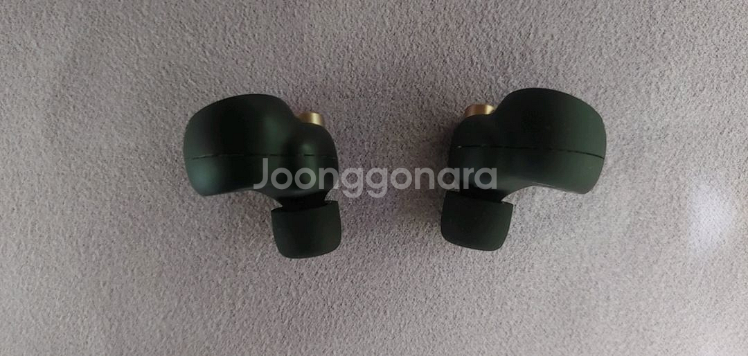 소니 WF-1000XM4 블랙--5