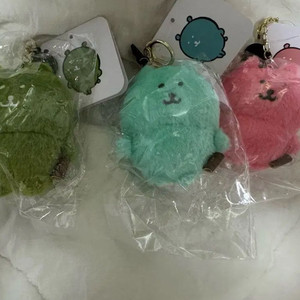 일괄) 컬러곰 나가노 농담곰