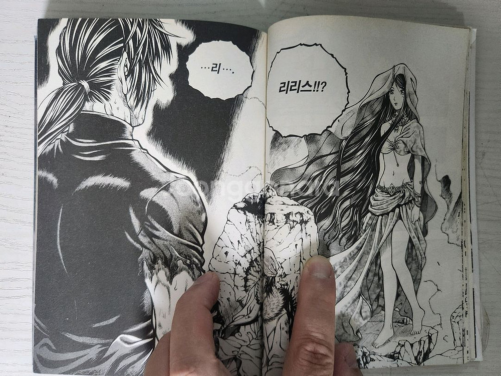 [판타지만화책] 리버스 총24권 (국산 베르세르크)--9