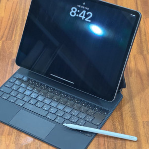 아이패드 프로 12.9 3세대 1TB 셀룰러