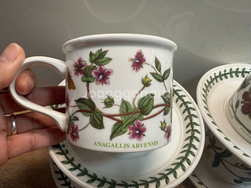 포트메리온 보타닉가든 커피잔 D형--1