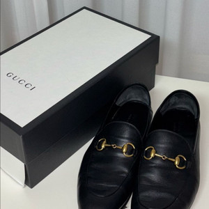 구찌 / 홀스빗 브릭스톤 / 8