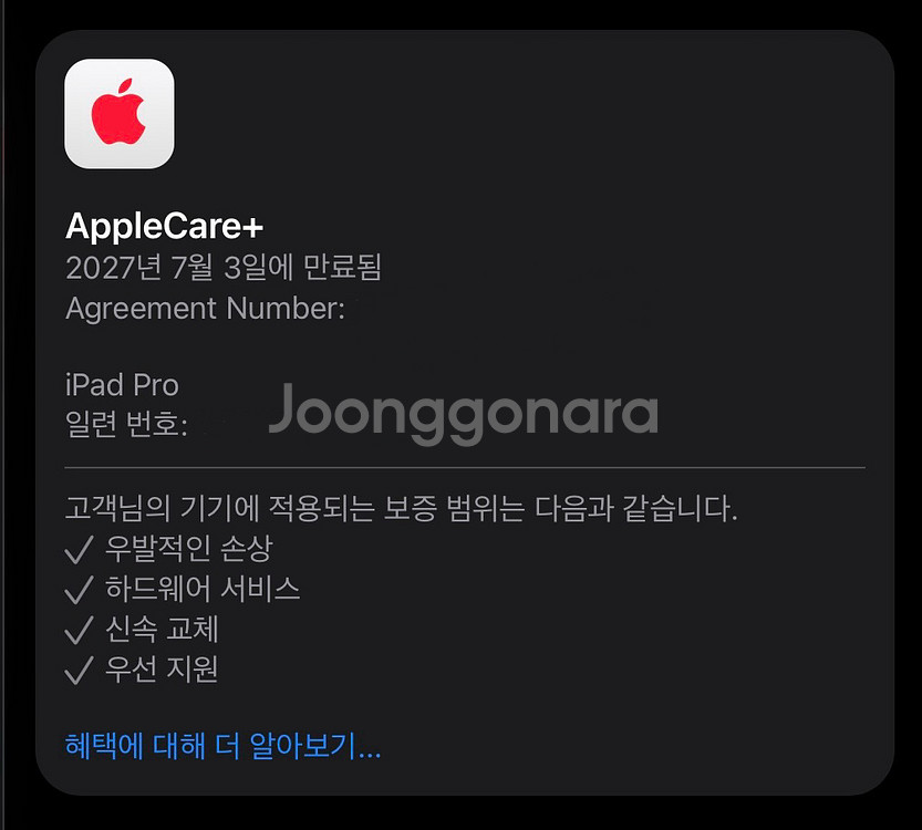 아이패드 프로 M4 11인치 와이파이 256GB 애케플--6