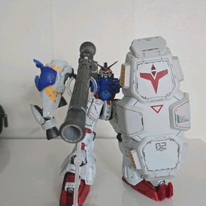 솔로몬모형 사이살리스 가조 팝니다