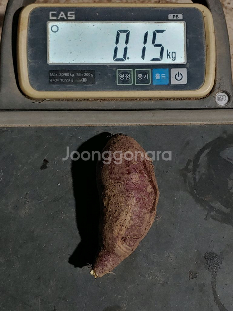 친환경 무농약 밤고구마 10kg--3
