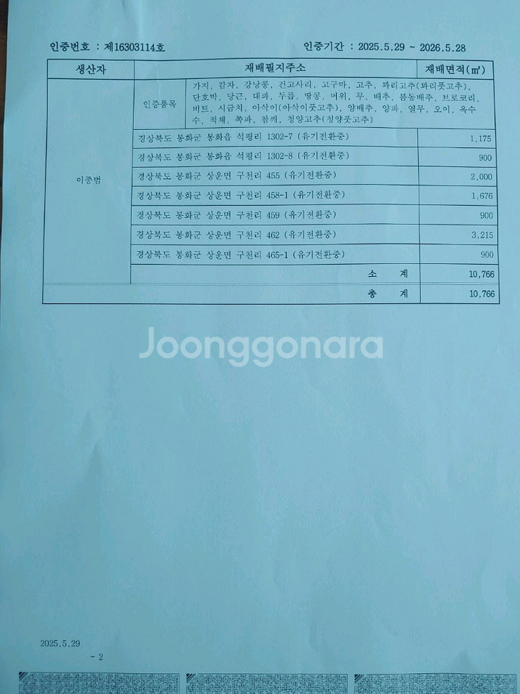 친환경 무농약 밤고구마 10kg--8