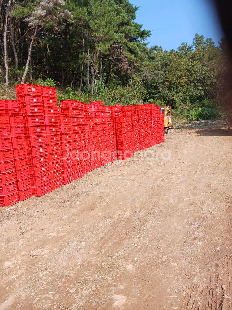 (미사용) 콘티박스 플라스틱박스 과일상자 컨테이너박스--0