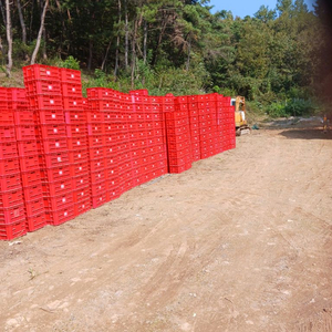 (미사용) 콘티박스 플라스틱박스 과일상자 컨테이너박스