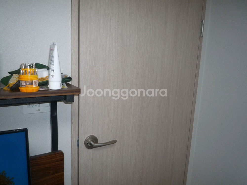 파나소닉 루믹스 DMC-FX35 화이트 디카--8