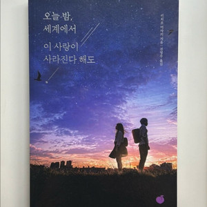 오늘 밤 세계에서 이 사랑이 사라진다 해도 소설 책