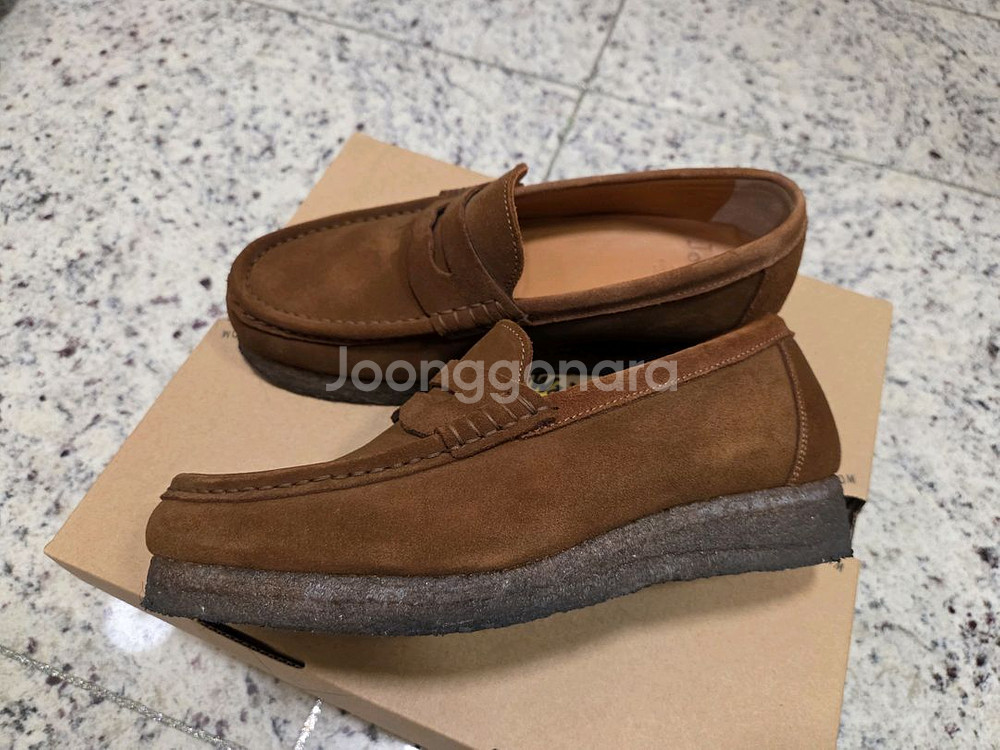 조셉트 밀로 브라운 (250)--2