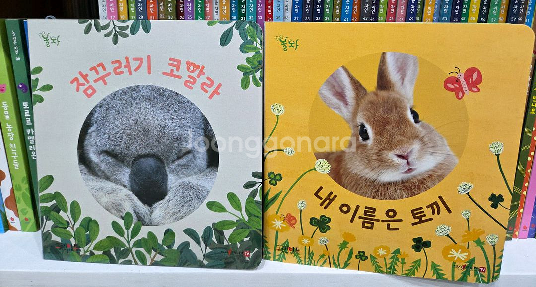 그레이트ㆍ놀라운자연ㆍ놀자ㆍ자연관찰--2