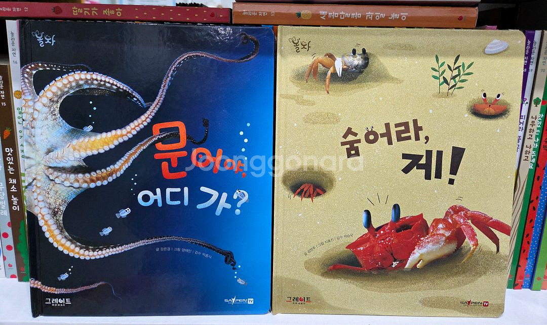 그레이트ㆍ놀라운자연ㆍ놀자ㆍ자연관찰--8