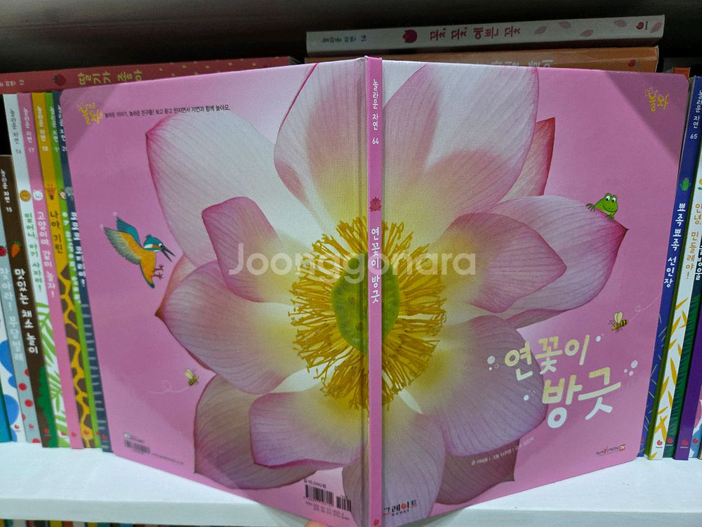 그레이트ㆍ놀라운자연ㆍ놀자ㆍ자연관찰--7