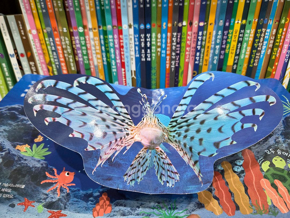 그레이트ㆍ놀라운자연ㆍ놀자ㆍ자연관찰--4