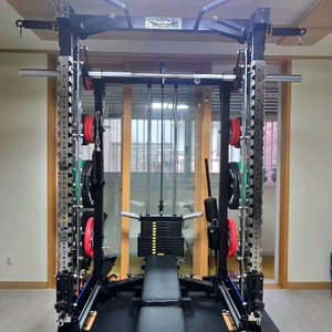 [경기/분해 완료]블랙벳 ak-7 3D스미스머신 홈짐
