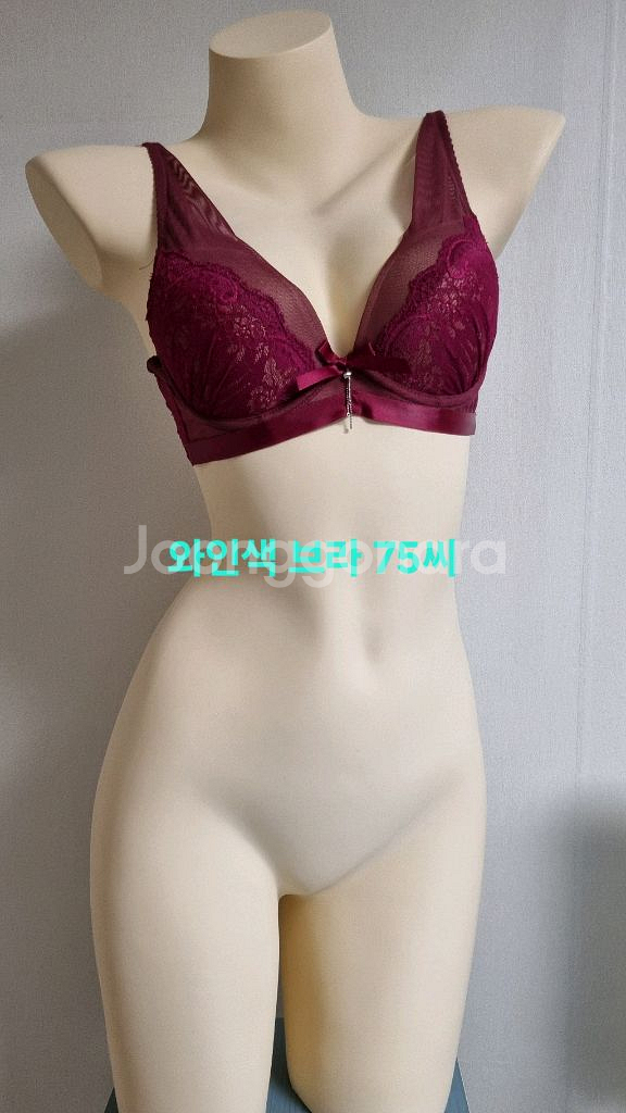 와인 버건디 레이스 브라 75씨컵--0