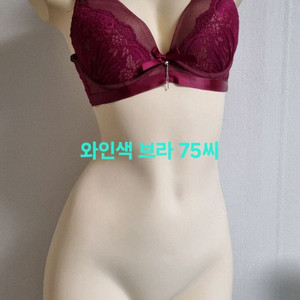 와인 버건디 레이스 브라 75씨컵