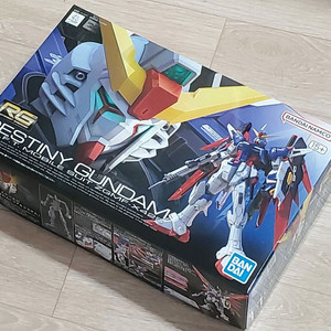 [RG] 데스티니 건담