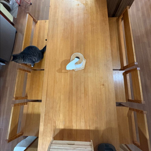 천연 원목 식탁 ㆍ아일랜드 식탁