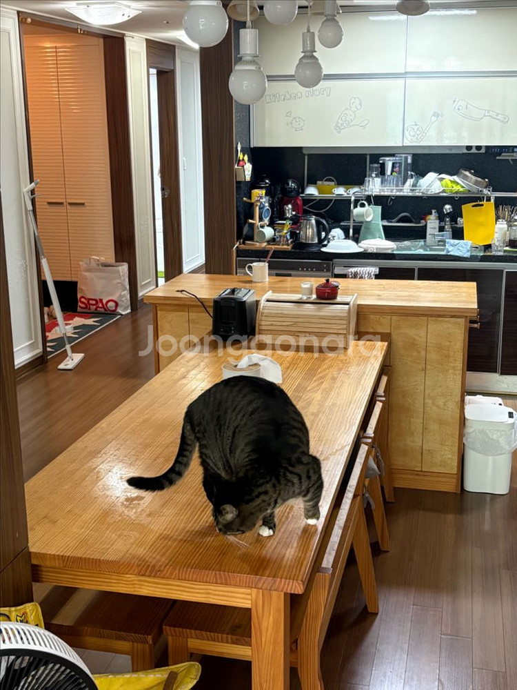 천연 원목 식탁 ㆍ아일랜드 식탁--3