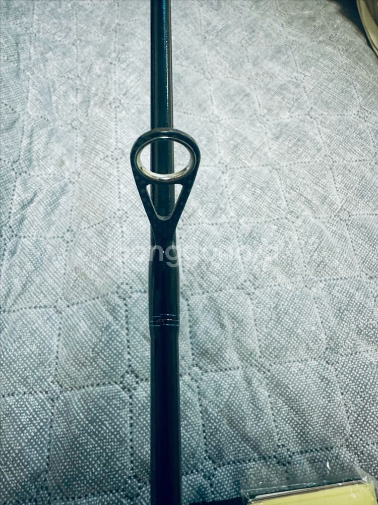 다이와 에메랄다스 EX 이카메탈 OR70MLS-SMTT--5