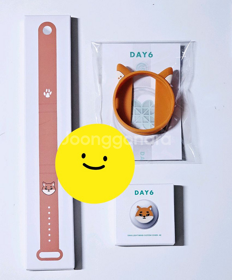 데이식스 데니멀즈 워치커스텀 스트랩 3종 영케이--0