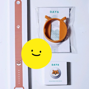 데이식스 데니멀즈 워치커스텀 스트랩 3종 영케이