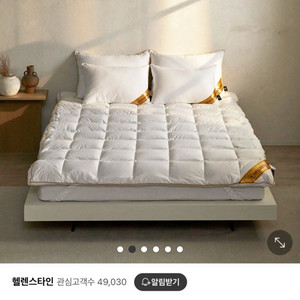 헬렌스타인 골드 매트리스 토퍼 S/SS
