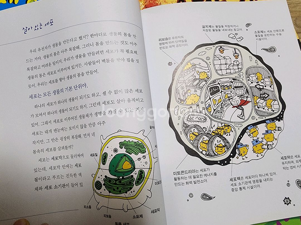 웅진* 야무진과학씨 어린이과학책--6