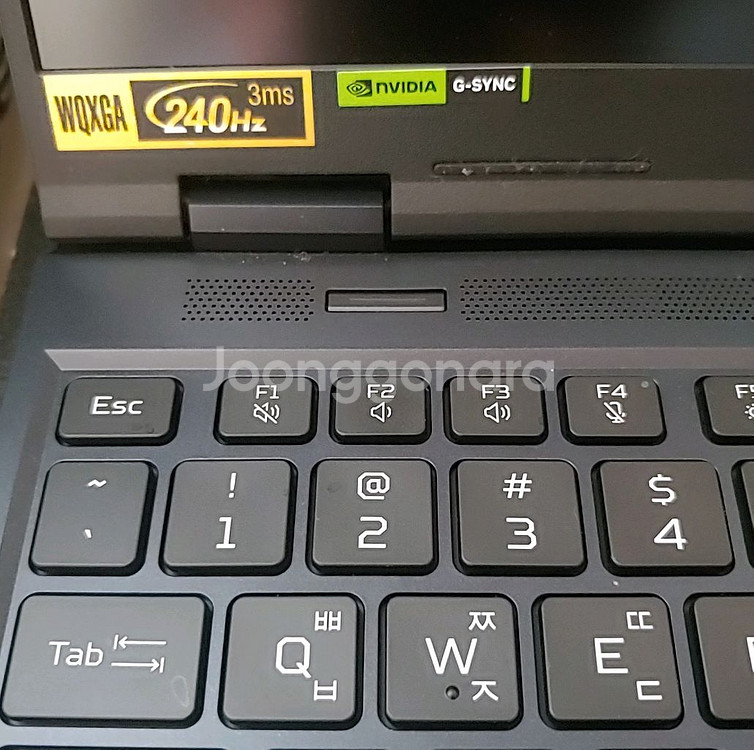 에이서 프레데터 헬리오스 네오 16 게이밍 노트북--3