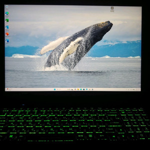 에이서 프레데터 헬리오스 네오 16 게이밍 노트북