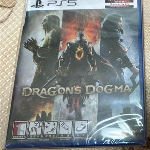 드래곤즈 도그마2