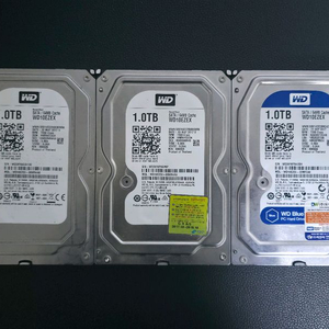 WD Blue 1TB HDD 데스크탑용 2개입니다