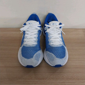 남성 나이키 리액트 인피니티런 운동화 (270)