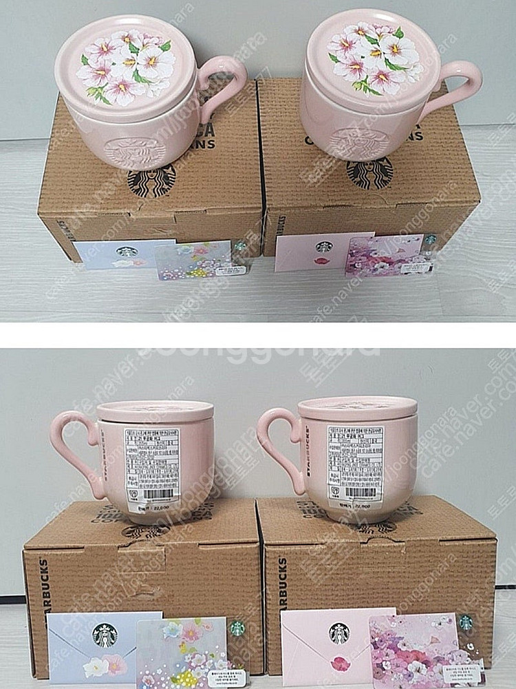 스타벅스 19 무궁화 머그, 21 무궁화 머그--1