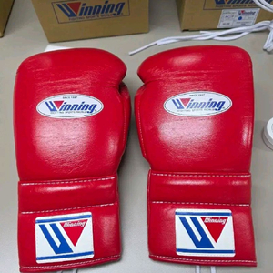 위닝 14OZ 레드 위닝