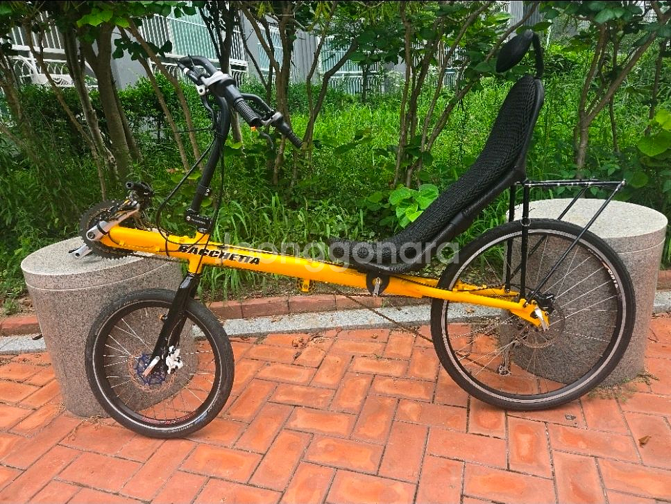 바체타 자전거 판매합니다--3